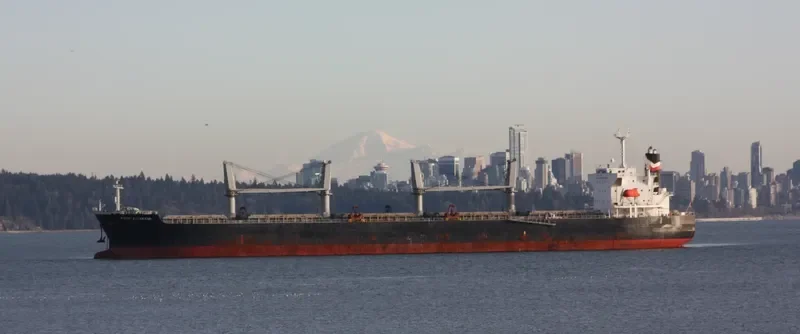 KITAKAMI Bulk Carrier IMO 9430820 photo 3