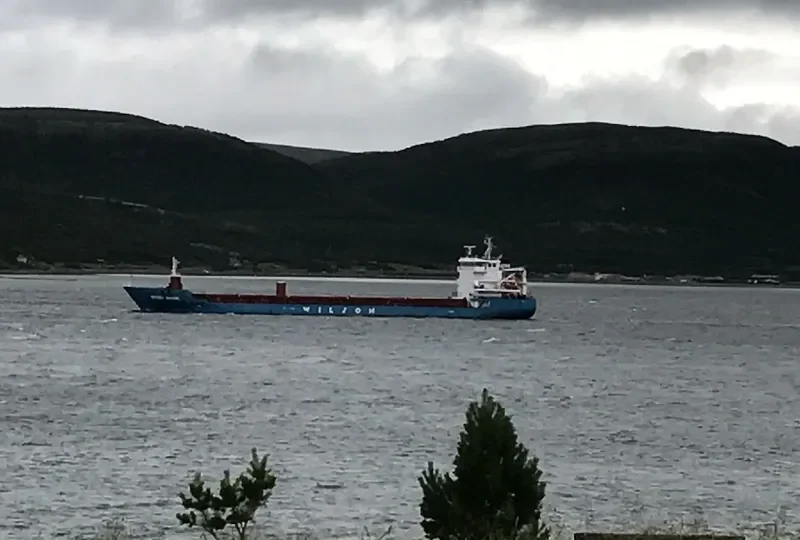WILSON NARVIK General Cargo IMO 9430961 photo 2