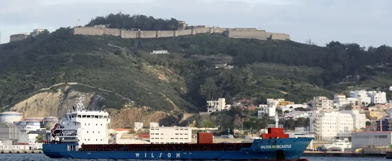 WILSON NEWCASTLE General Cargo IMO 9431006 photo 3