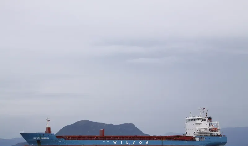 WILSON NANJING General Cargo IMO 9431018 photo 7