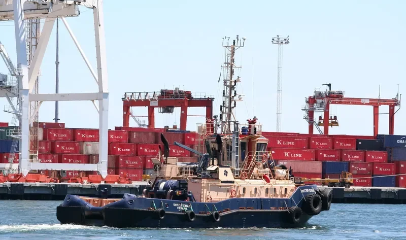 SVITZER EAGLE General Cargo IMO 9431070 photo 7