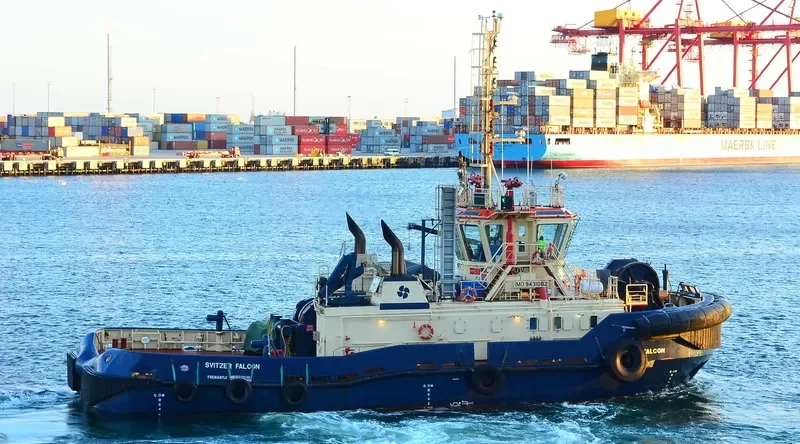 SVITZER FALCON General Cargo IMO 9431082 photo 8
