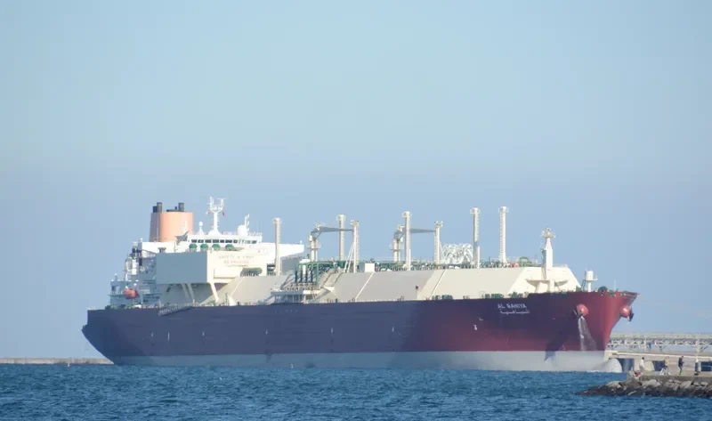 AL BAHIYA General Cargo IMO 9431147 photo 4