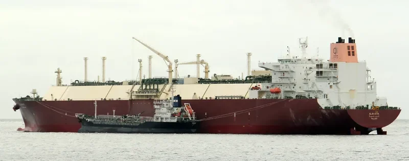 AL BAHIYA General Cargo IMO 9431147 photo 8