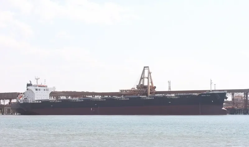 BASTIONS Bulk Carrier IMO 9431173