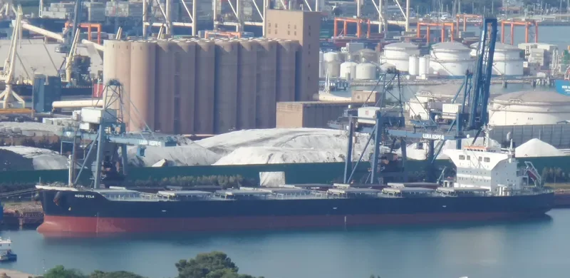 BASTIONS Bulk Carrier IMO 9431173 photo 6