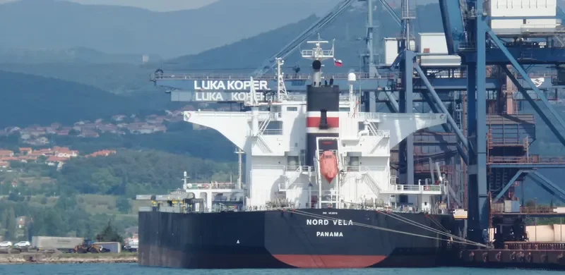 BASTIONS Bulk Carrier IMO 9431173 photo 7