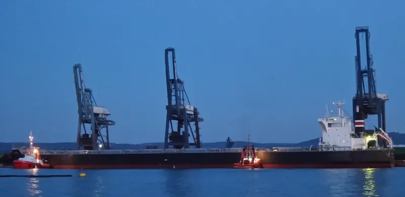 BASTIONS Bulk Carrier IMO 9431173 photo 8