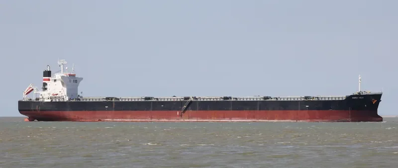BASTIONS Bulk Carrier IMO 9431173 photo 10