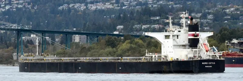 BELLEVUE Bulk Carrier IMO 9431185 photo 2