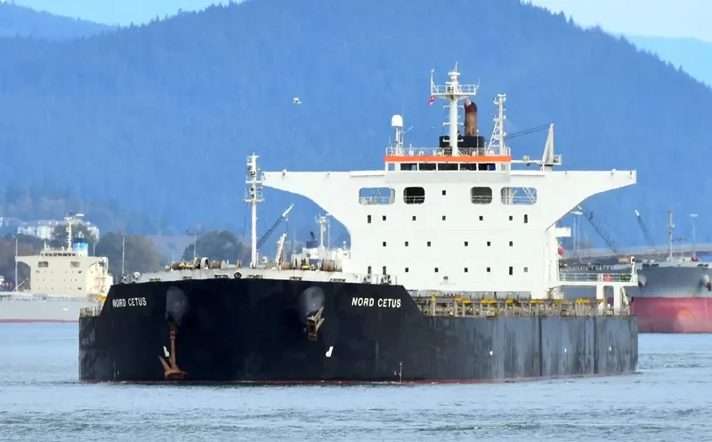 BELLEVUE Bulk Carrier IMO 9431185 photo 3