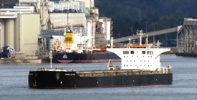 BELLEVUE Bulk Carrier IMO 9431185 photo 4