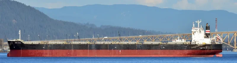 BELLEVUE Bulk Carrier IMO 9431185 photo 6