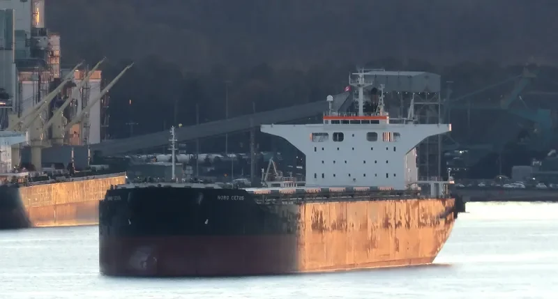 BELLEVUE Bulk Carrier IMO 9431185 photo 9