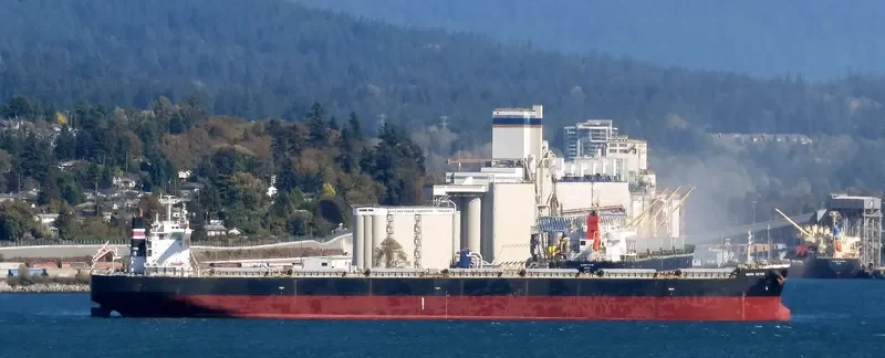 BELLEVUE Bulk Carrier IMO 9431185 photo 10