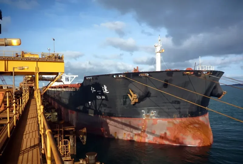 REN DA Bulk Carrier IMO 9431238