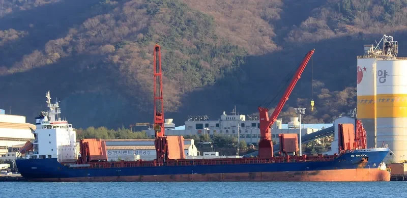 PACIFICA General Cargo IMO 9431460