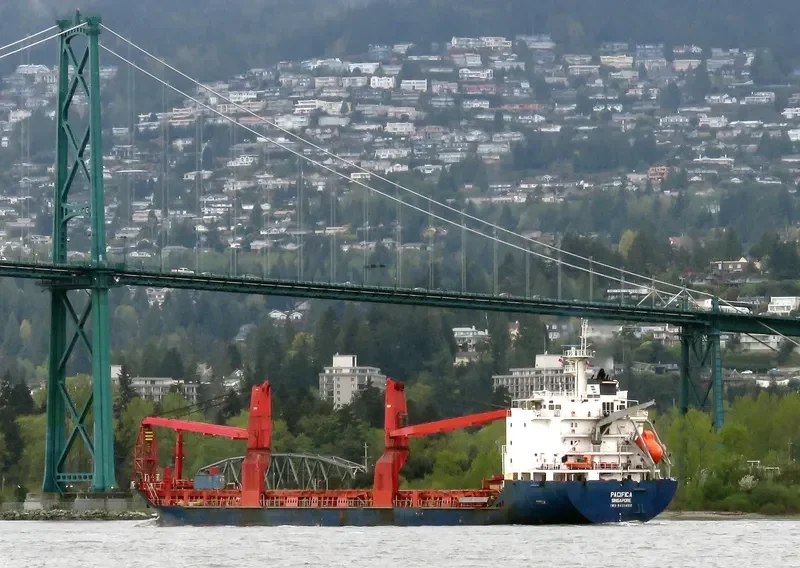 PACIFICA General Cargo IMO 9431460 photo 3