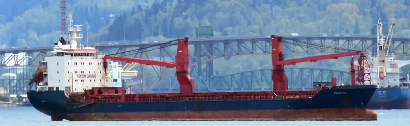 PACIFICA General Cargo IMO 9431460 photo 5