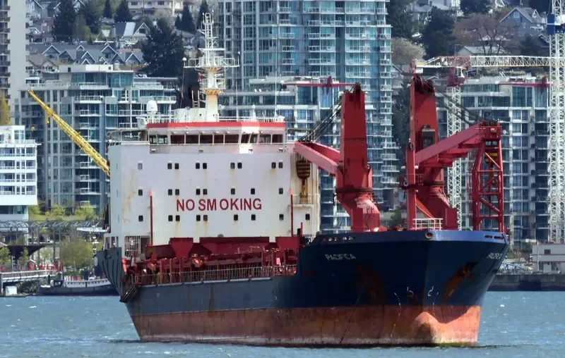 PACIFICA General Cargo IMO 9431460 photo 6