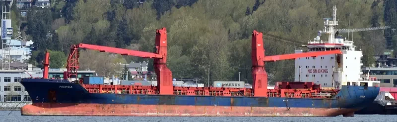 PACIFICA General Cargo IMO 9431460 photo 7