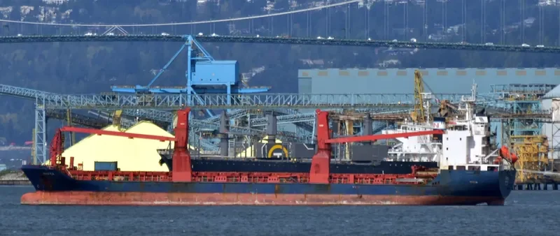 PACIFICA General Cargo IMO 9431460 photo 8