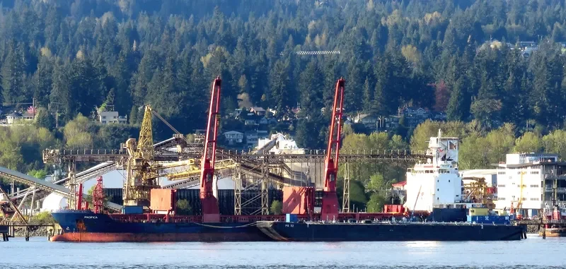 PACIFICA General Cargo IMO 9431460 photo 9