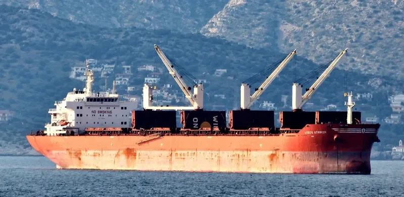MOUTON Bulk Carrier IMO 9431513
