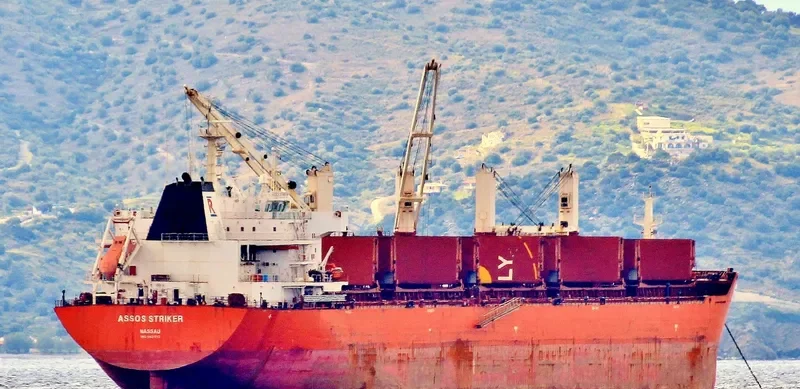MOUTON Bulk Carrier IMO 9431513 photo 2