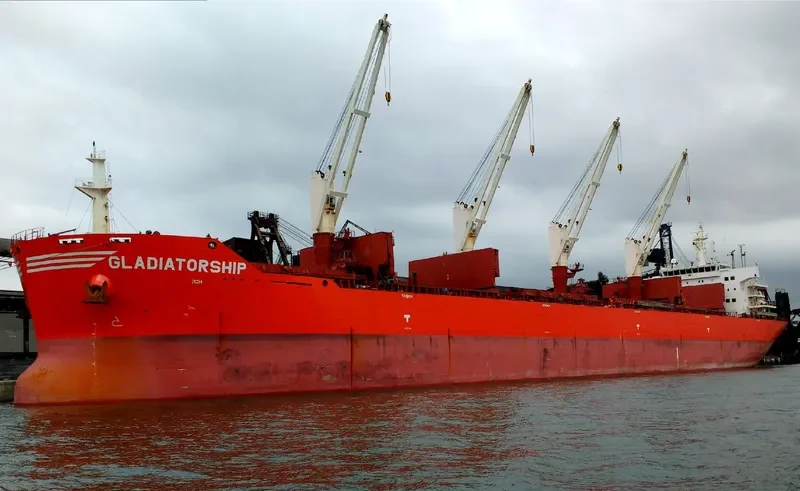 MOUTON Bulk Carrier IMO 9431513 photo 3
