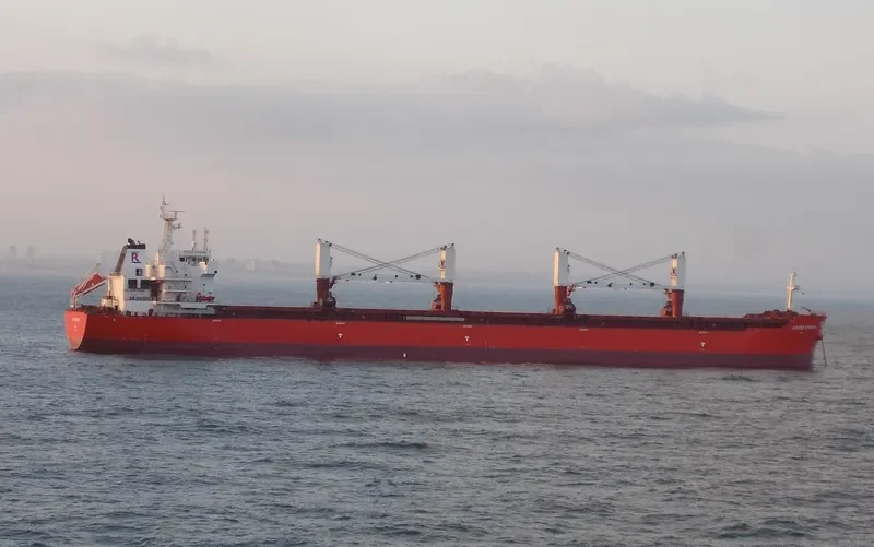 MOUTON Bulk Carrier IMO 9431513 photo 4