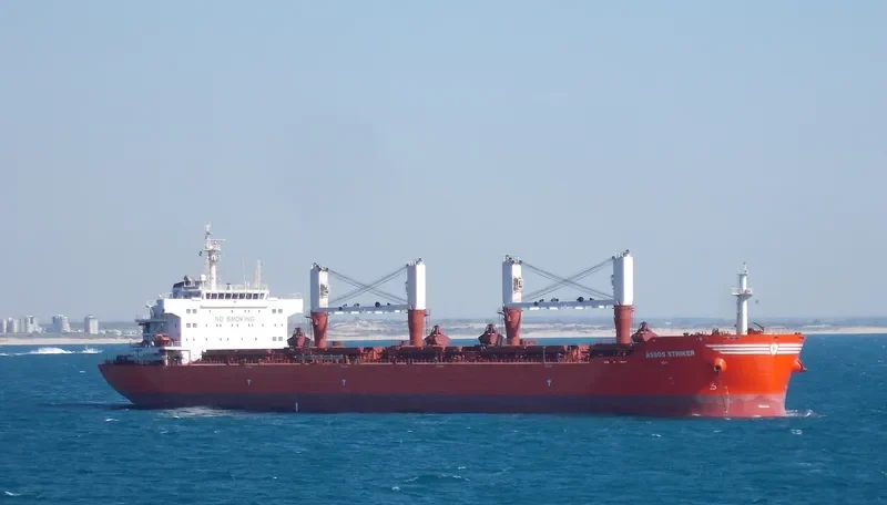 MOUTON Bulk Carrier IMO 9431513 photo 5