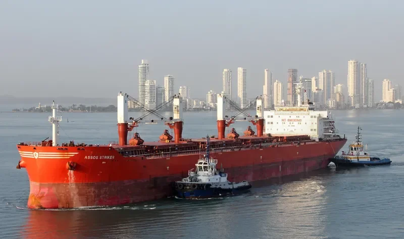MOUTON Bulk Carrier IMO 9431513 photo 6