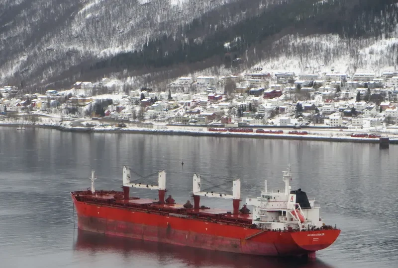 MOUTON Bulk Carrier IMO 9431513 photo 7