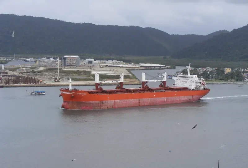 MOUTON Bulk Carrier IMO 9431513 photo 8