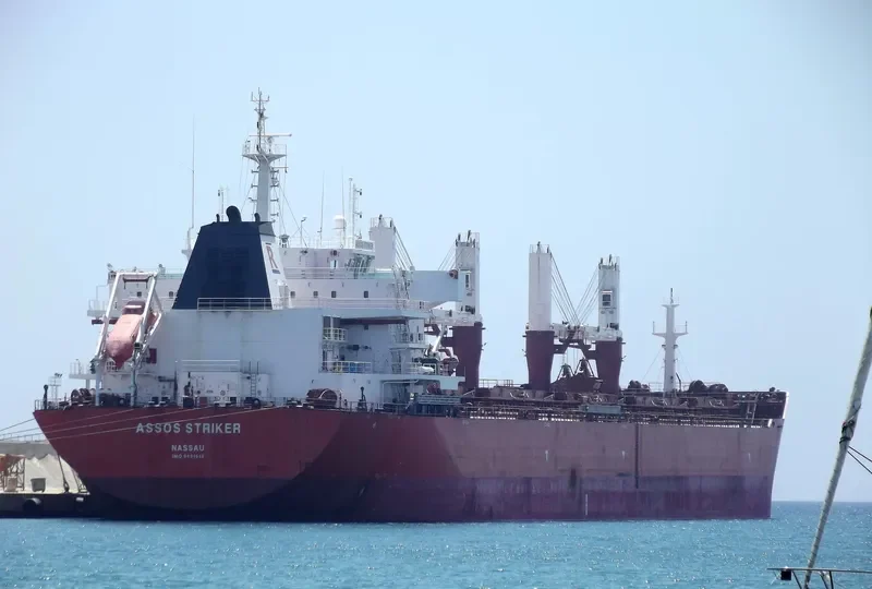 MOUTON Bulk Carrier IMO 9431513 photo 10