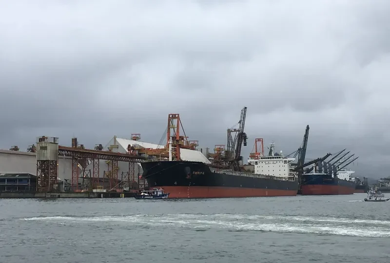 LILA TOKYO Bulk Carrier IMO 9431525