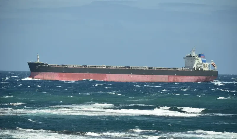SEA EMPIRE Bulk Carrier IMO 9431537 photo 4