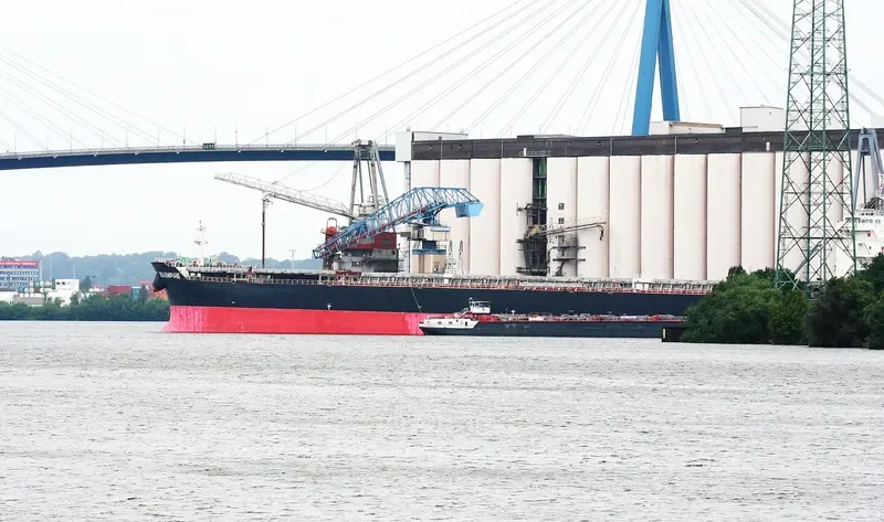 SEA EMPIRE Bulk Carrier IMO 9431537 photo 6