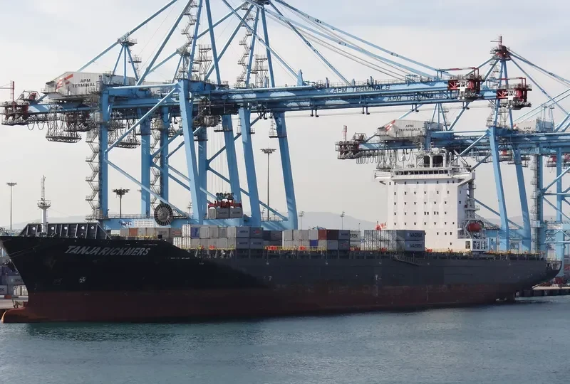 TANJA Container Ship IMO 9431692