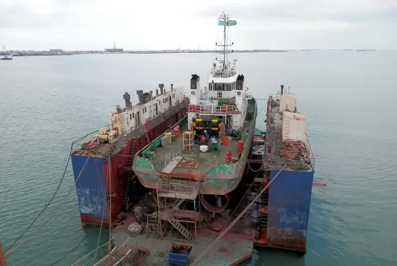 BUSY GATOR General Cargo IMO 9431927