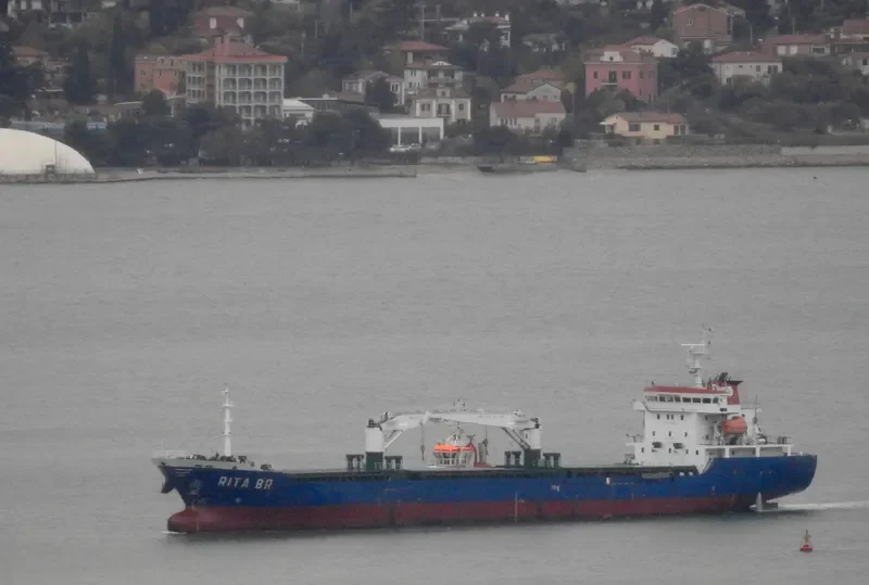 RITA BR Bulk Carrier IMO 9431977 photo 2