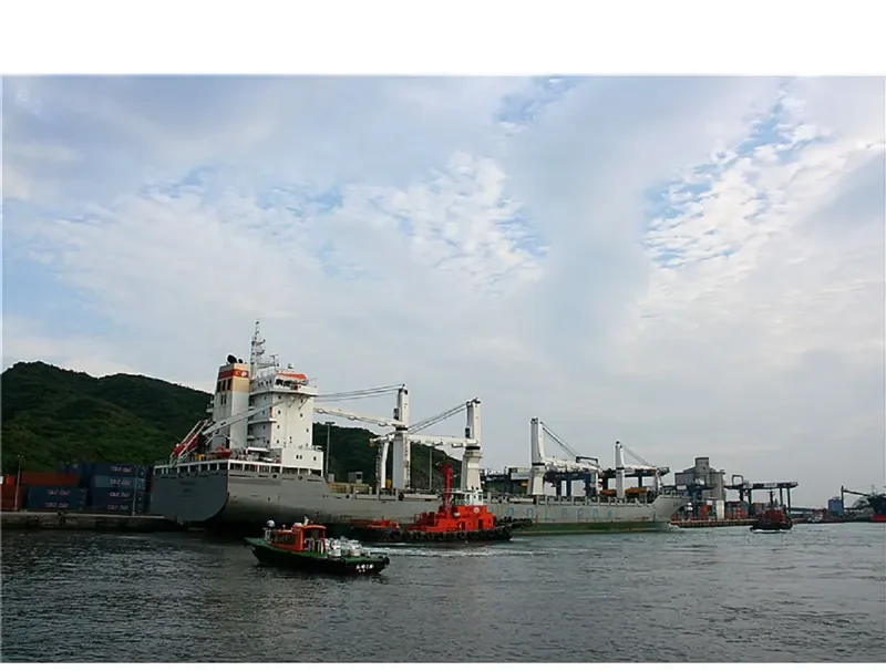 ADAM ASNYK General Cargo IMO 9432115 photo 26