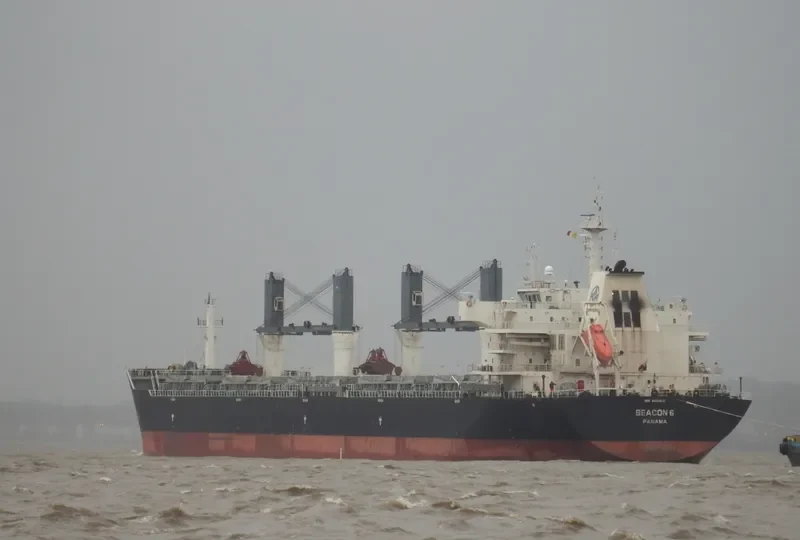 SEACON 6 Bulk Carrier IMO 9432256