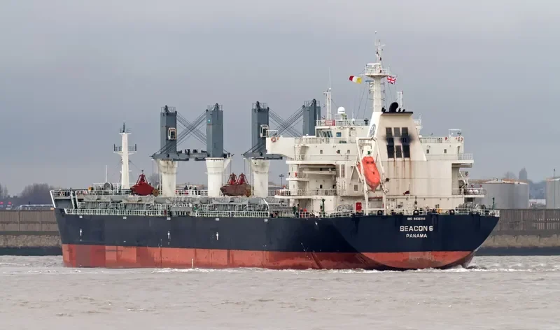 SEACON 6 Bulk Carrier IMO 9432256 photo 4