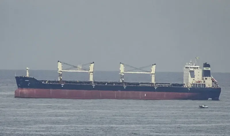 AZAO Bulk Carrier IMO 9432361