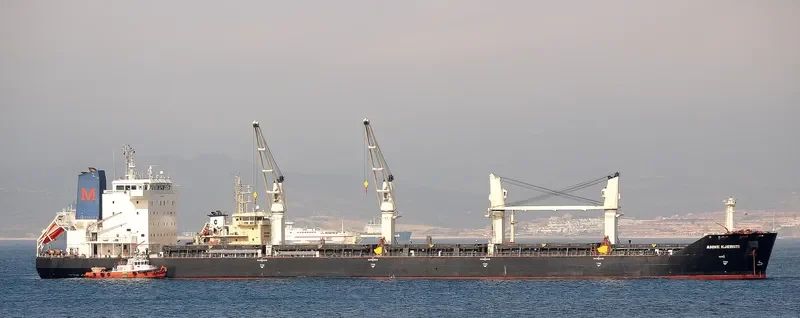 AZAO Bulk Carrier IMO 9432361 photo 2