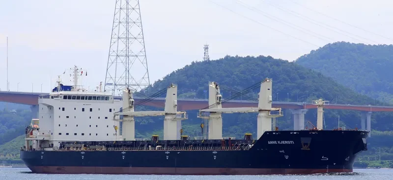 AZAO Bulk Carrier IMO 9432361 photo 5