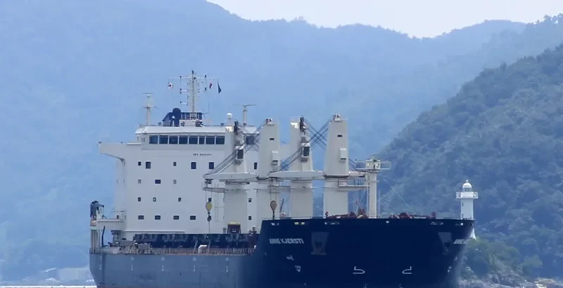 AZAO Bulk Carrier IMO 9432361 photo 6