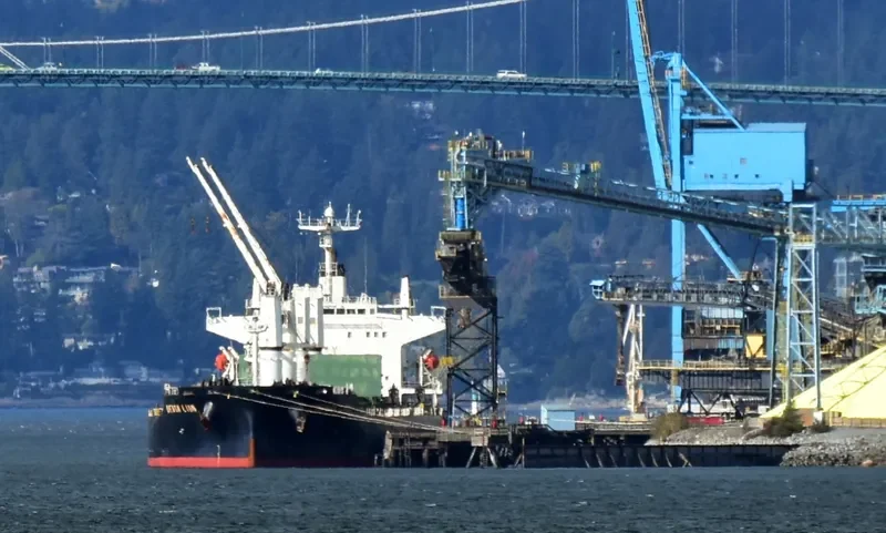 DENSA LION Bulk Carrier IMO 9432464
